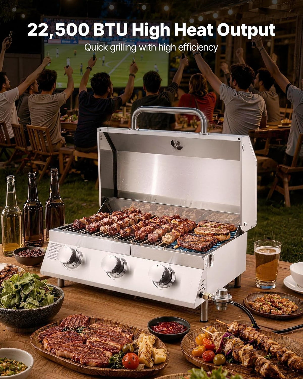 Portable Tabletop Propane Gas Grill